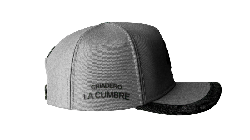 GORRA GRIS COLECCIÓN DELUXE 2025